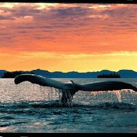 Petoskey