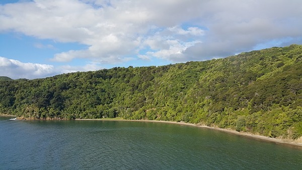 Picton  New Zealand