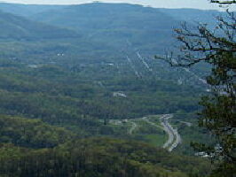 Pineville
