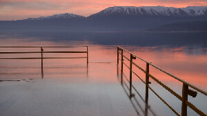 Pogradec