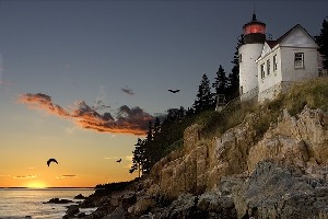 Portland
