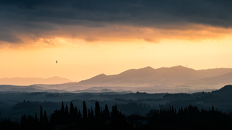 Province of Pisa Tuscany Italy