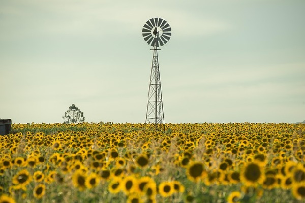 Queensland Australia