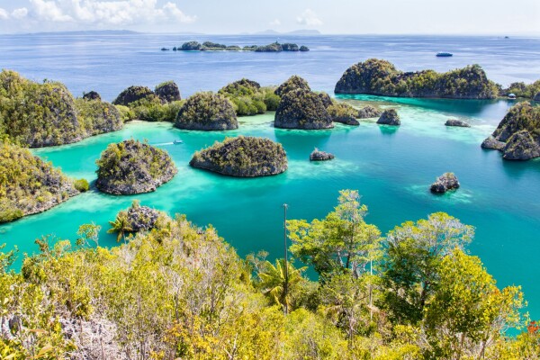 Raja Ampat  Indonesia
