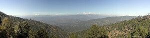 Ranikhet