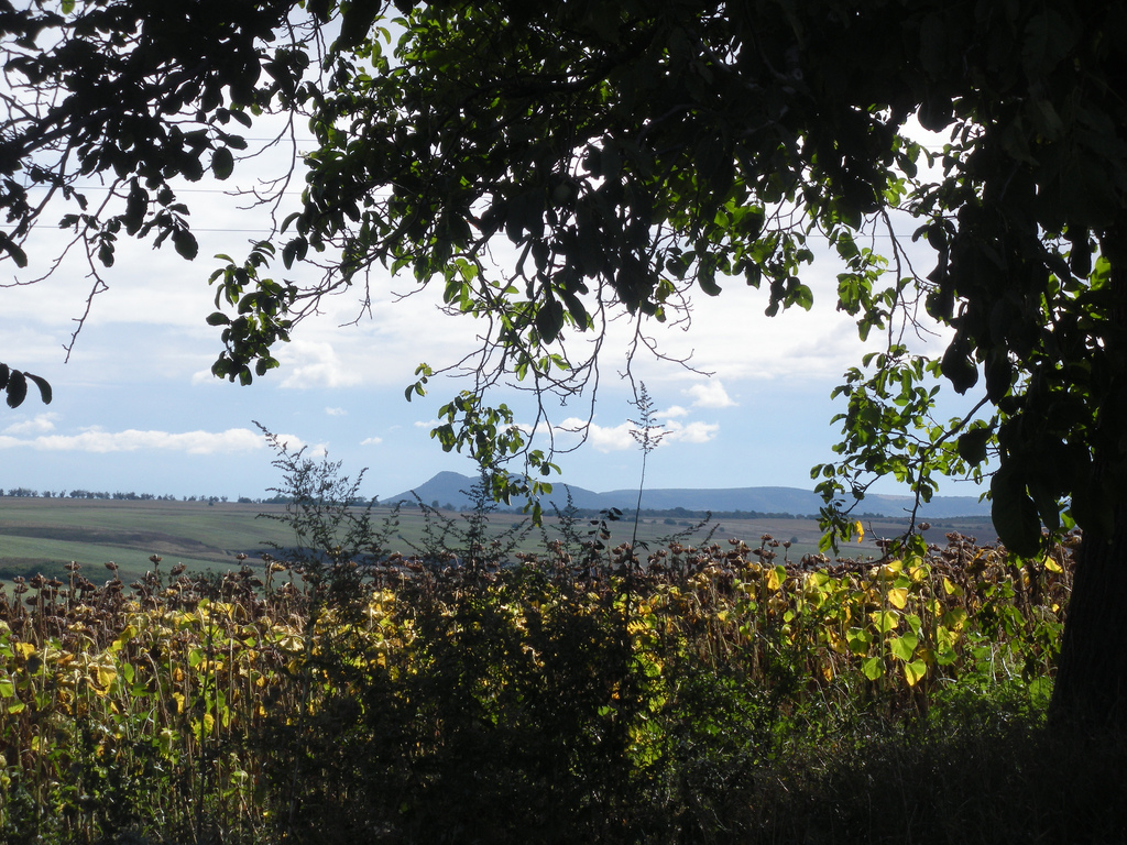 Razgrad Bulgaria
