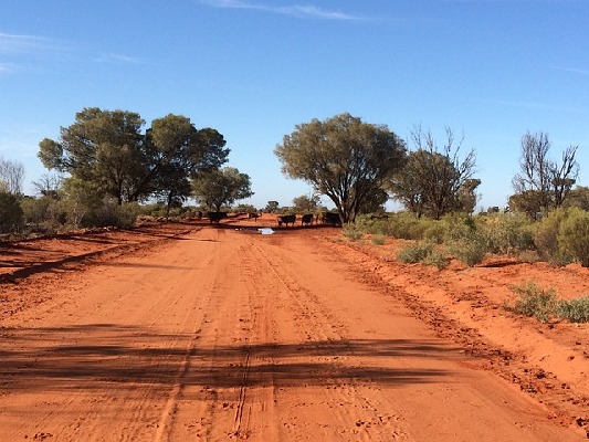 Red Centre  Northern Territory