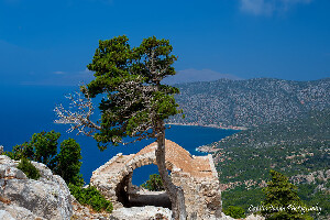 Rhodes