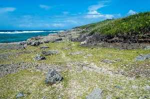 Rodrigues Island