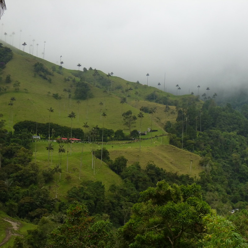 Santa Rosa de Cabal  Colombia