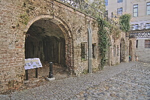 Savannah