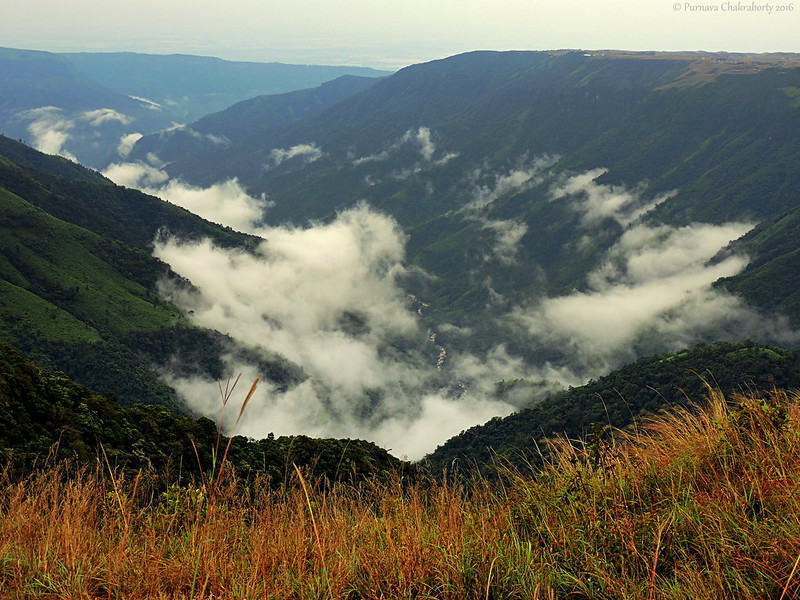 Shillong  India