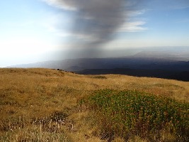 Sicily