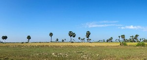 Siem Reap Province