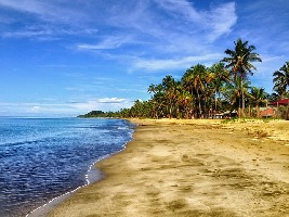Sigatoka