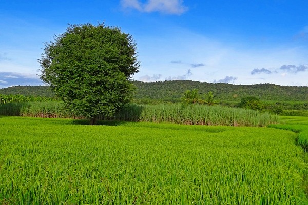 Sirsi Karnataka India