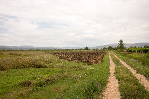 Split-Dalmatia County