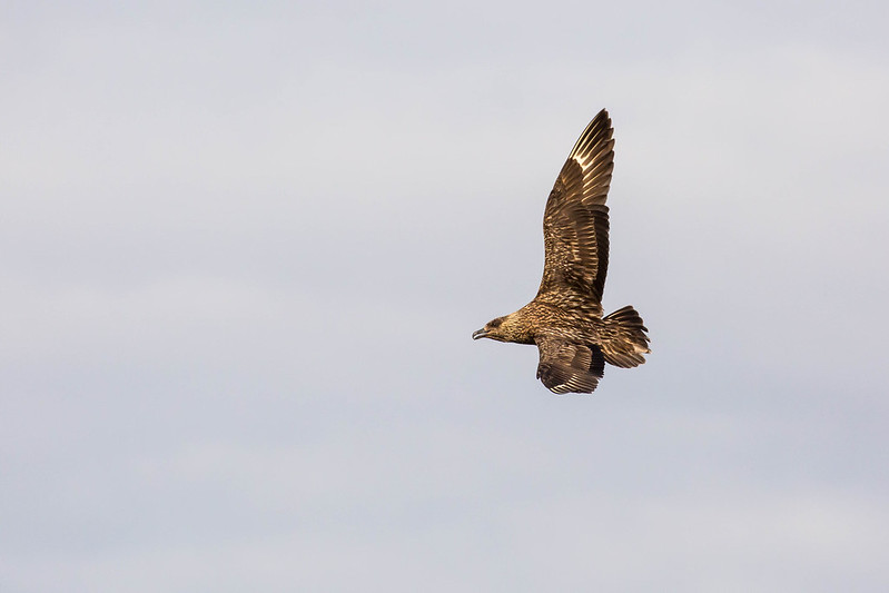 St Kilda  United Kingdom