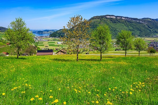 Stans  Switzerland