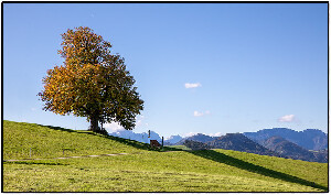 Steinbach an der Steyr