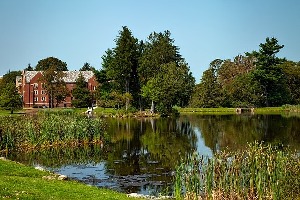 Storrs