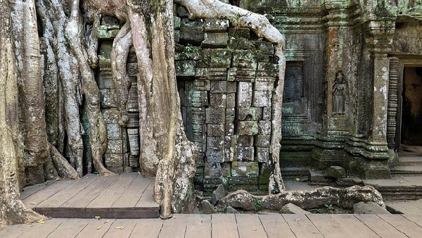 Ta Kream  Cambodia