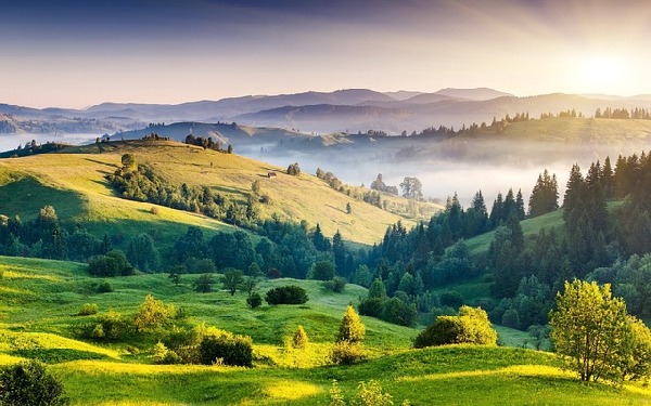 Tamil Nadu India