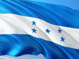 Tela