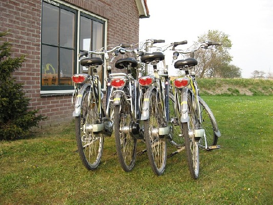 Terschelling  Netherlands