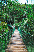 Thenmala