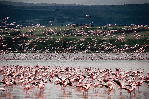 Thika  Kenya