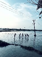 Thiruvarur