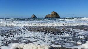 Tillamook