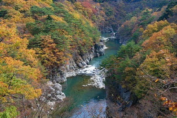 Tochigi  Japan
