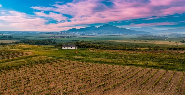 Tokaj  Hungary