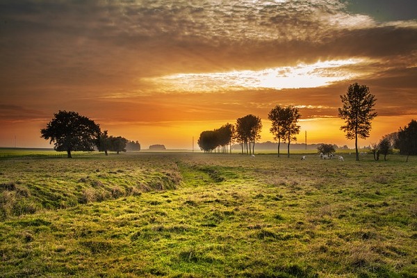 Tongeren  Belgium