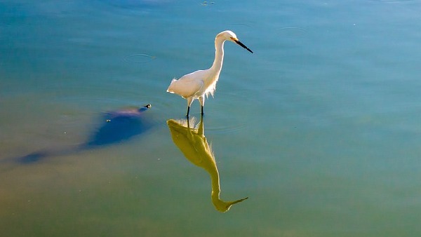 Torres  Brazil