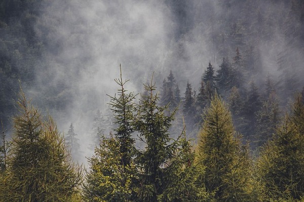 Transylvania Romania