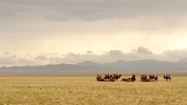 Tsetserleg  Mongolia