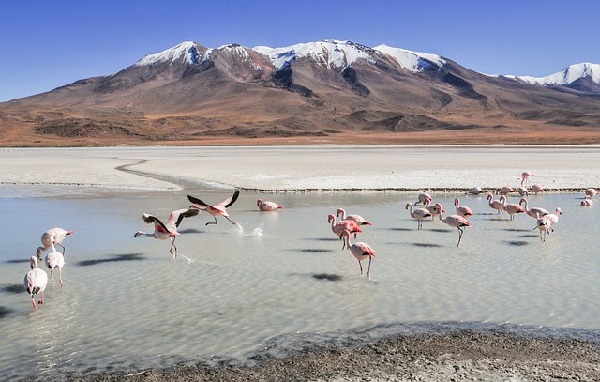 Tupiza  Bolivia