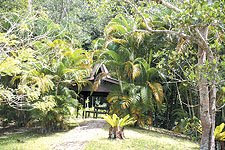 Tutong  Brunei