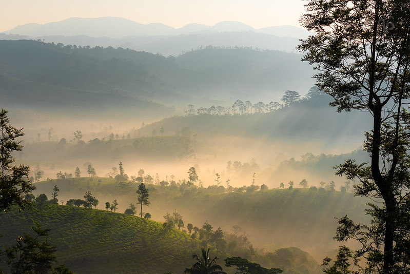 Vagamon Kerala India