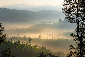 Vagamon