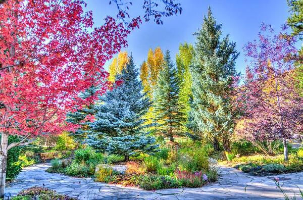 Vail Colorado United States