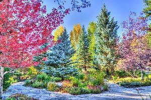 Vail