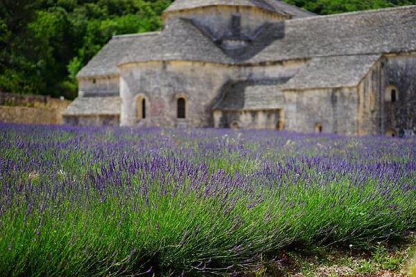 Vaucluse  France