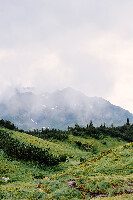 Vorarlberg