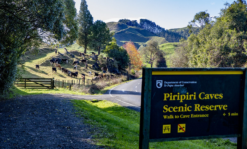 Waitomo  New Zealand