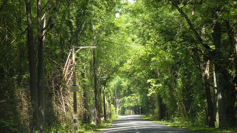 Wayanad District Kerala India