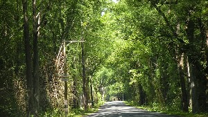 Wayanad District